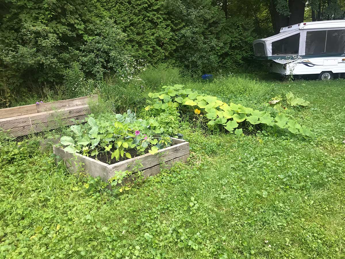 homesteading in the burbs