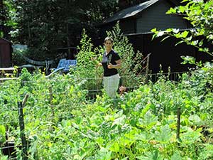 homesteading in the burbs